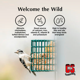 C&S Sunflower Suet Treat attracts woodpeckers with easy-to-digest energy