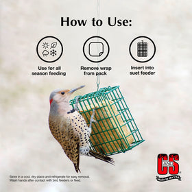 C&S Sunflower Suet Treat invites wrens with a savory, high-energy snack