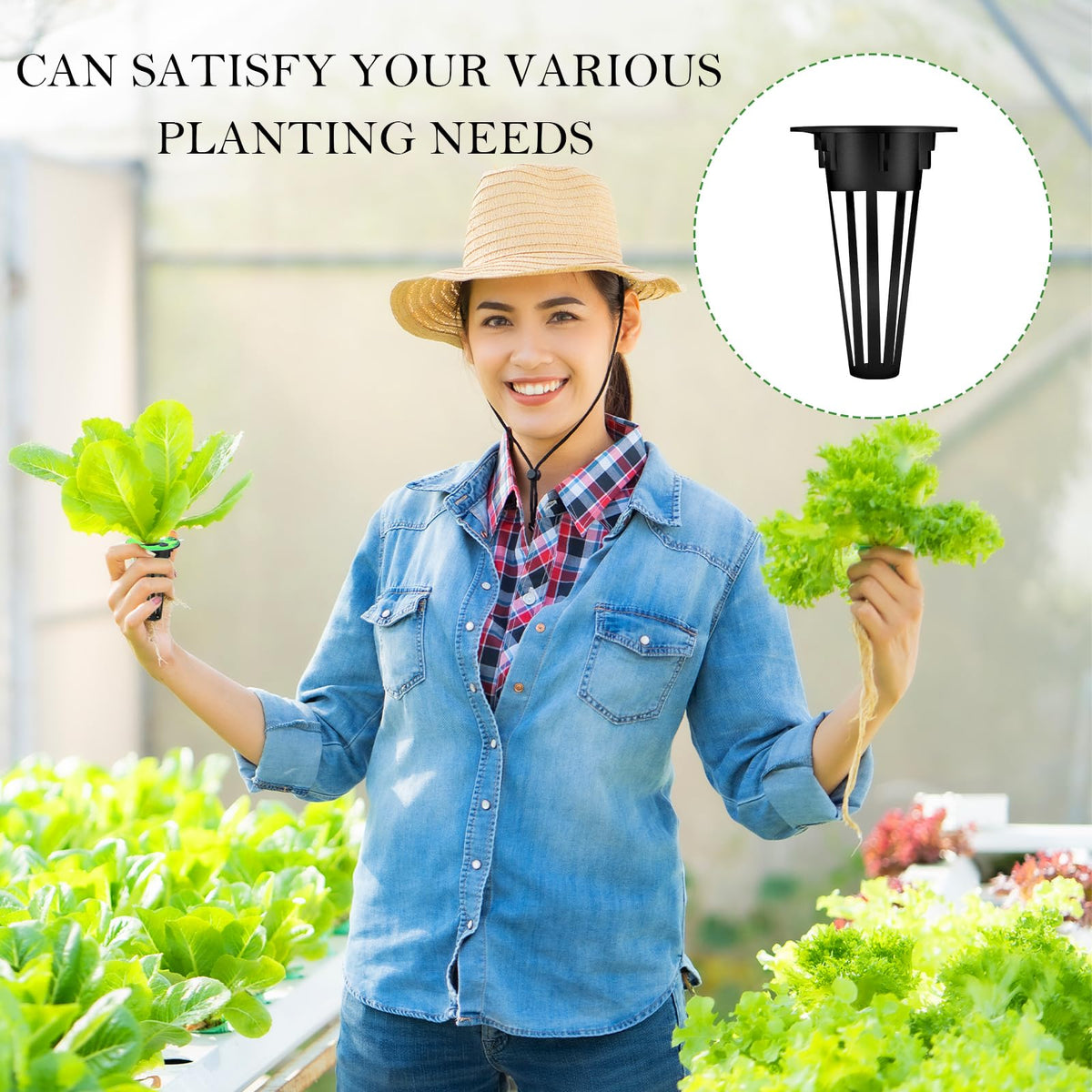 Cunhill hydroponic kit offers versatility for strawberries, tomatoes, flowers, and more