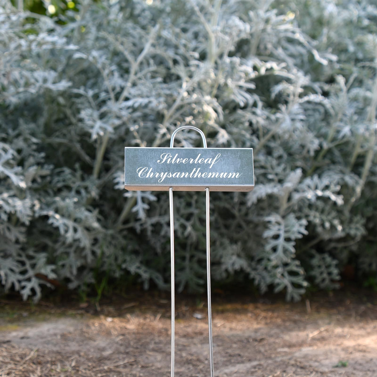 Cureder plant labels help track dates and care reminders.