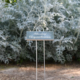 Cureder plant labels help track dates and care reminders.