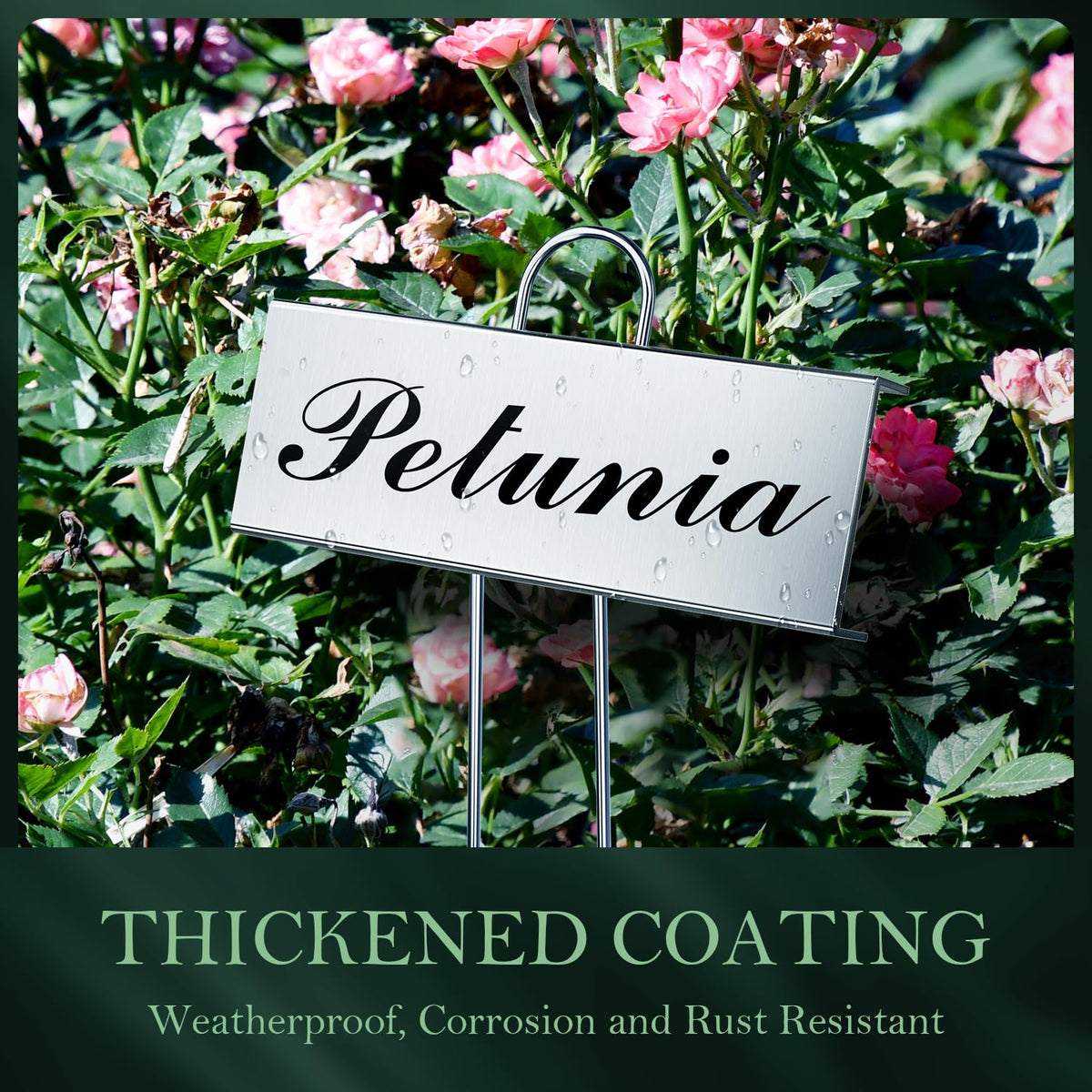 Cureder stainless steel garden markers withstand rain and keep labels legible.