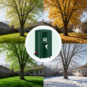 Curifurn collapsible design showing lightweight, portable rainwater storage.