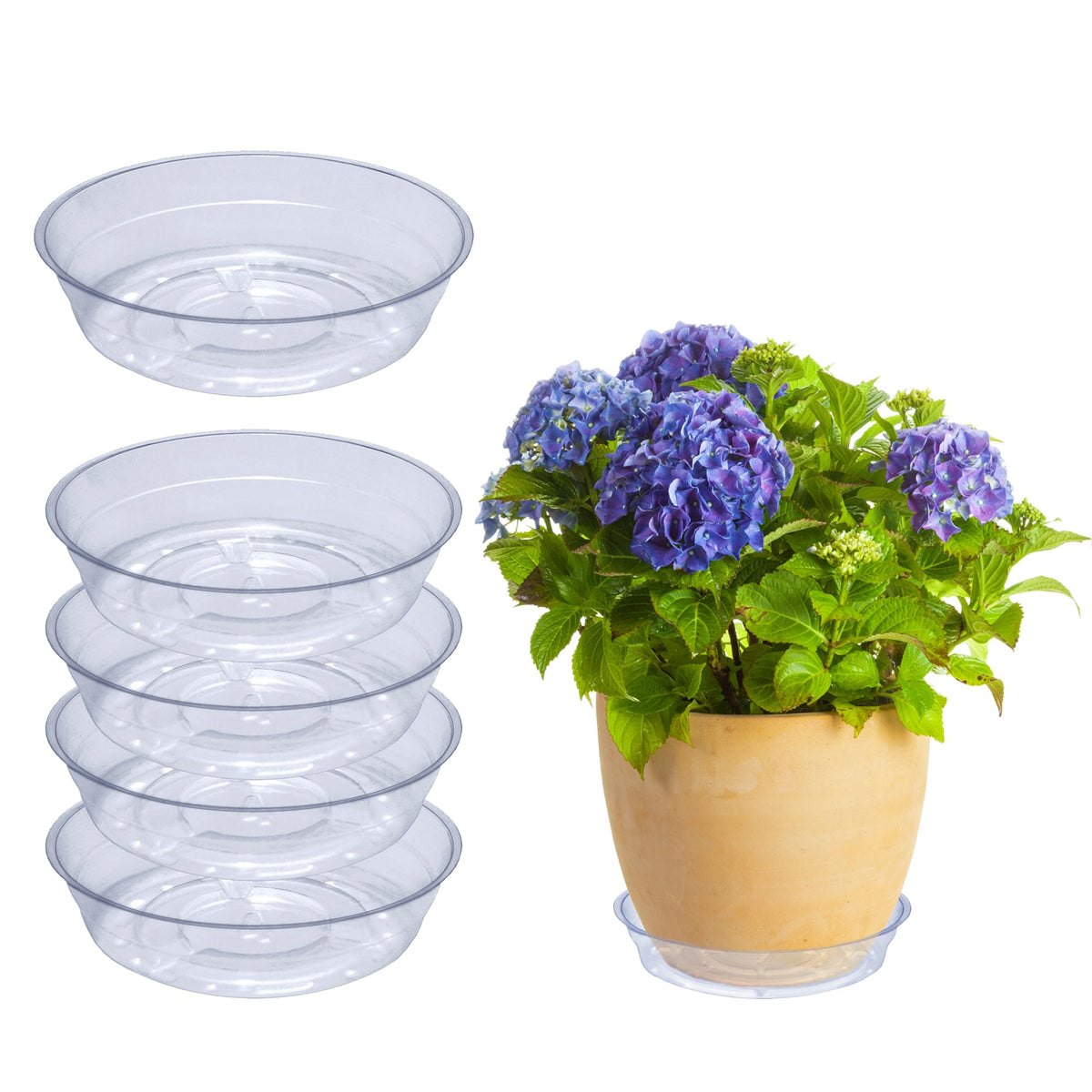 Curtis Wagner Plastics drip pan plant saucer clear 3in base 4in top protects surfaces from drips