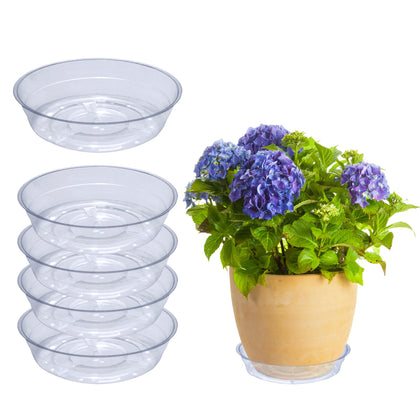 Curtis Wagner Plastics drip pan plant saucer clear 3in base 4in top protects surfaces from drips