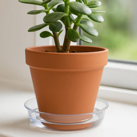 Curtis Wagner Plastics plant saucer protects indoor shelves while catching overflow confidently