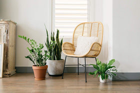 Curtis Wagner Plastics USA-made saucer delivers durable indoor and outdoor use