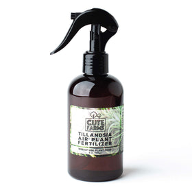 Cute Farms air plant care routine enhanced by fertilizer for color and hydration.