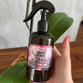 Close-up shows leaves and roots being misted with orchid spray