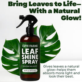 Cute Farms USA-made Leaf Shine Spray crafted in Sierra Nevada supports eco-friendly plant care.
