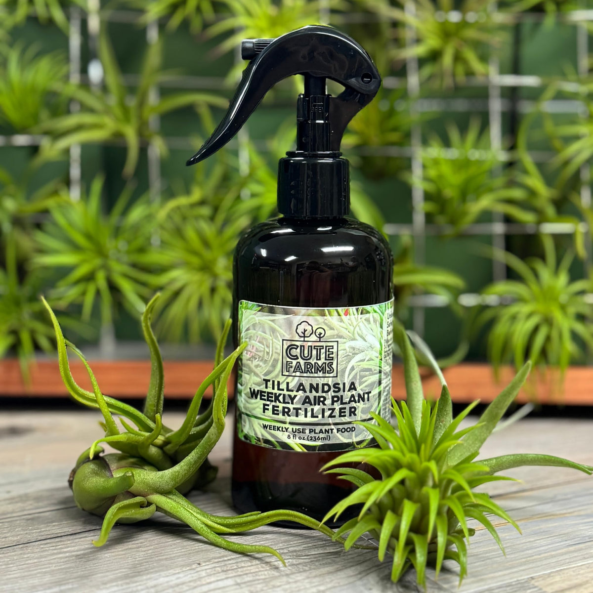 Cute Farms ready-to-use solution for healthy looking air plants.