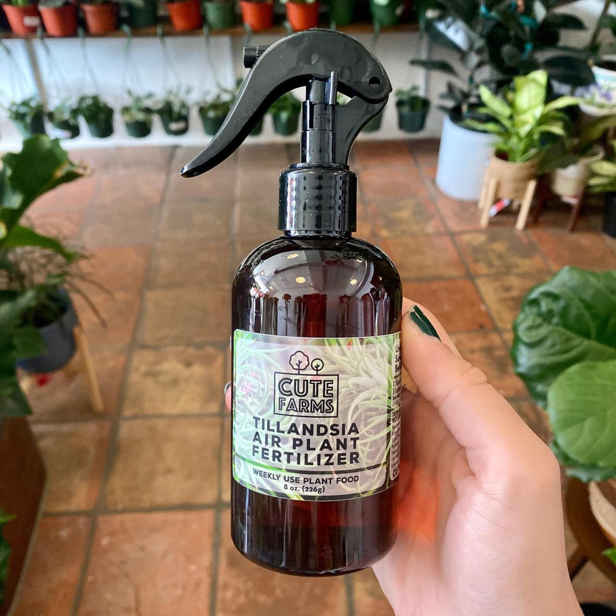 Cute Farms weekly formula supports leaf growth and hydration for air plants