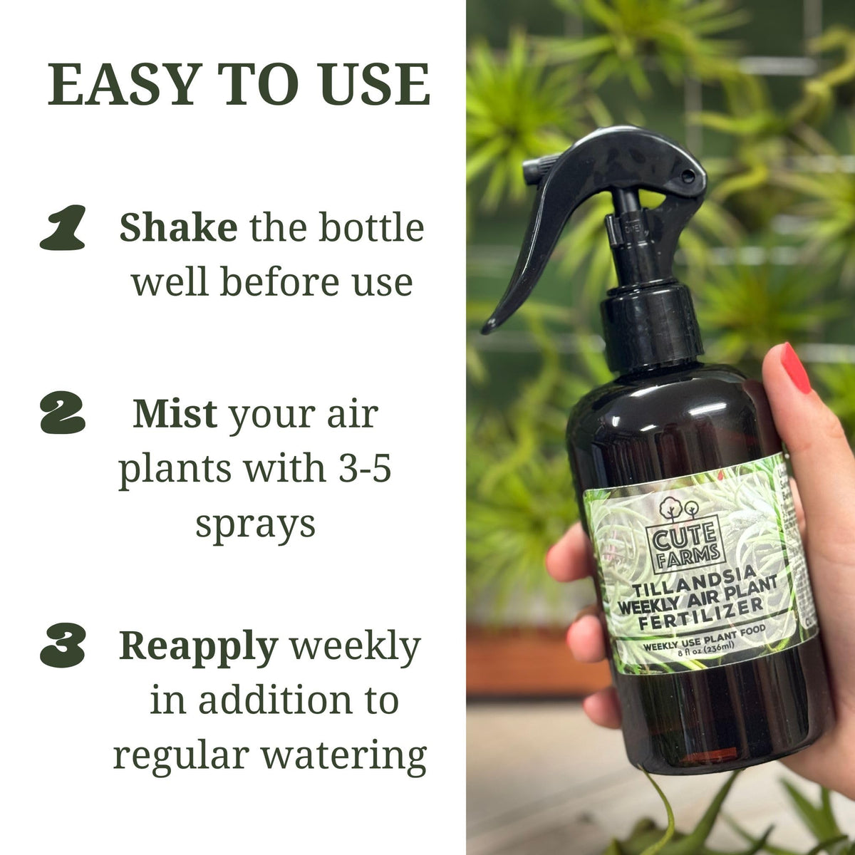 Cute Farms two-pack Tillandsia spray bottle simplifies routine care