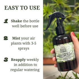 Cute Farms two-pack Tillandsia spray bottle simplifies routine care