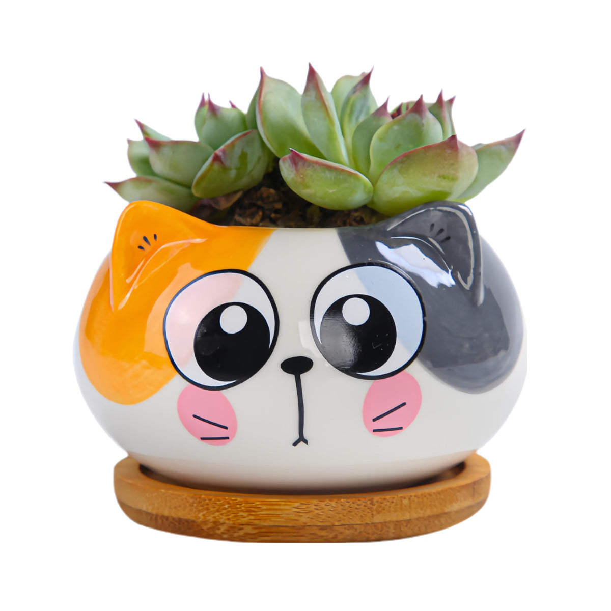 Cuteforyou cat-shaped planter with bamboo tray for stable home or office display