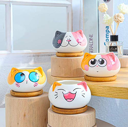 Cuteforyou cat planter as a thoughtful gift for plant lovers and animal fans