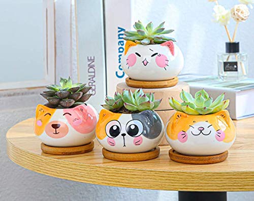 Cuteforyou cat ceramic planter adds charm to home and office spaces
