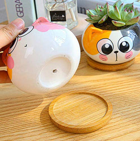 Cuteforyou succulent planter showing a drainage hole for proper watering
