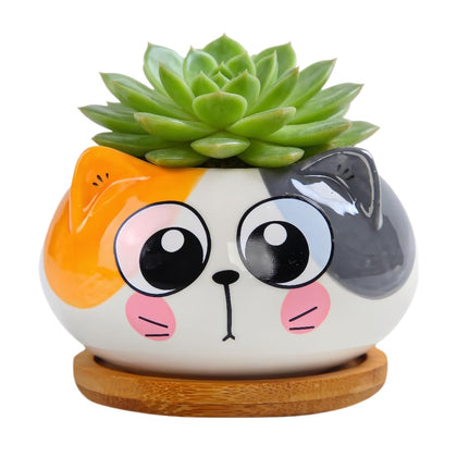 Cuteforyou cat-shaped ceramic succulent pot with bamboo tray for stylish display