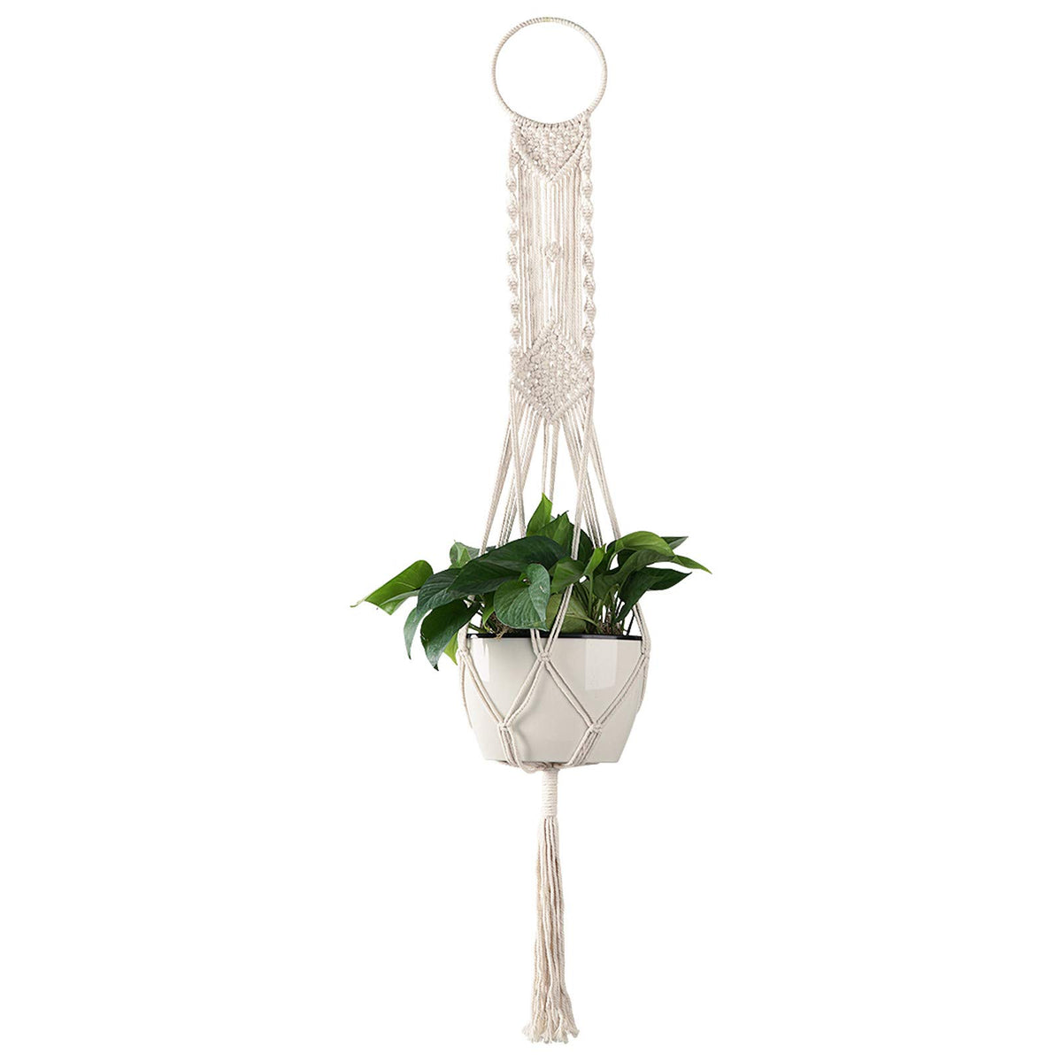 Cuttte Macrame Plant Hanger front view in cream for indoor plant display.