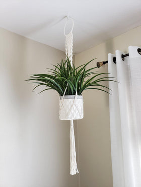 Cuttte Macrame Plant Hanger packaged-ready for gifting.