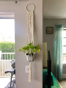 Cuttte Macrame Plant Hanger securely holds pot and plant.