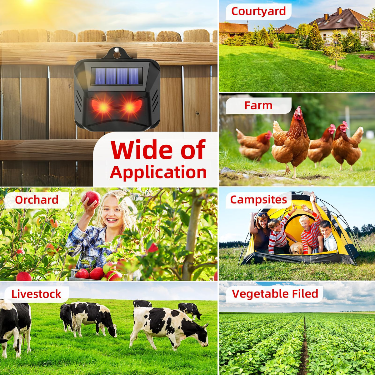 CXIENAOY protects poultry and crops with deterrence for yards and farms