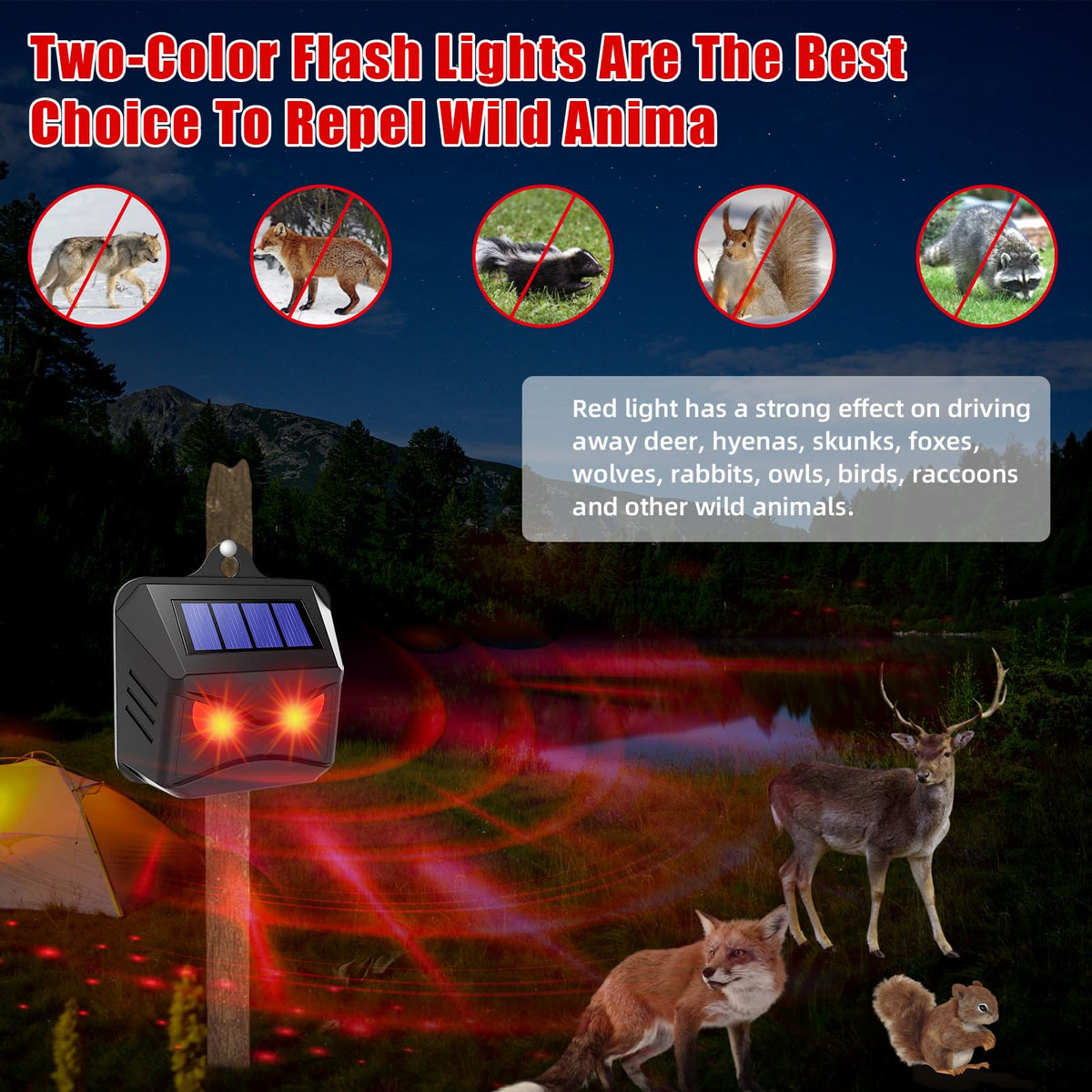 CXIENAOY solar panel charges automatically for cord-free overnight protection