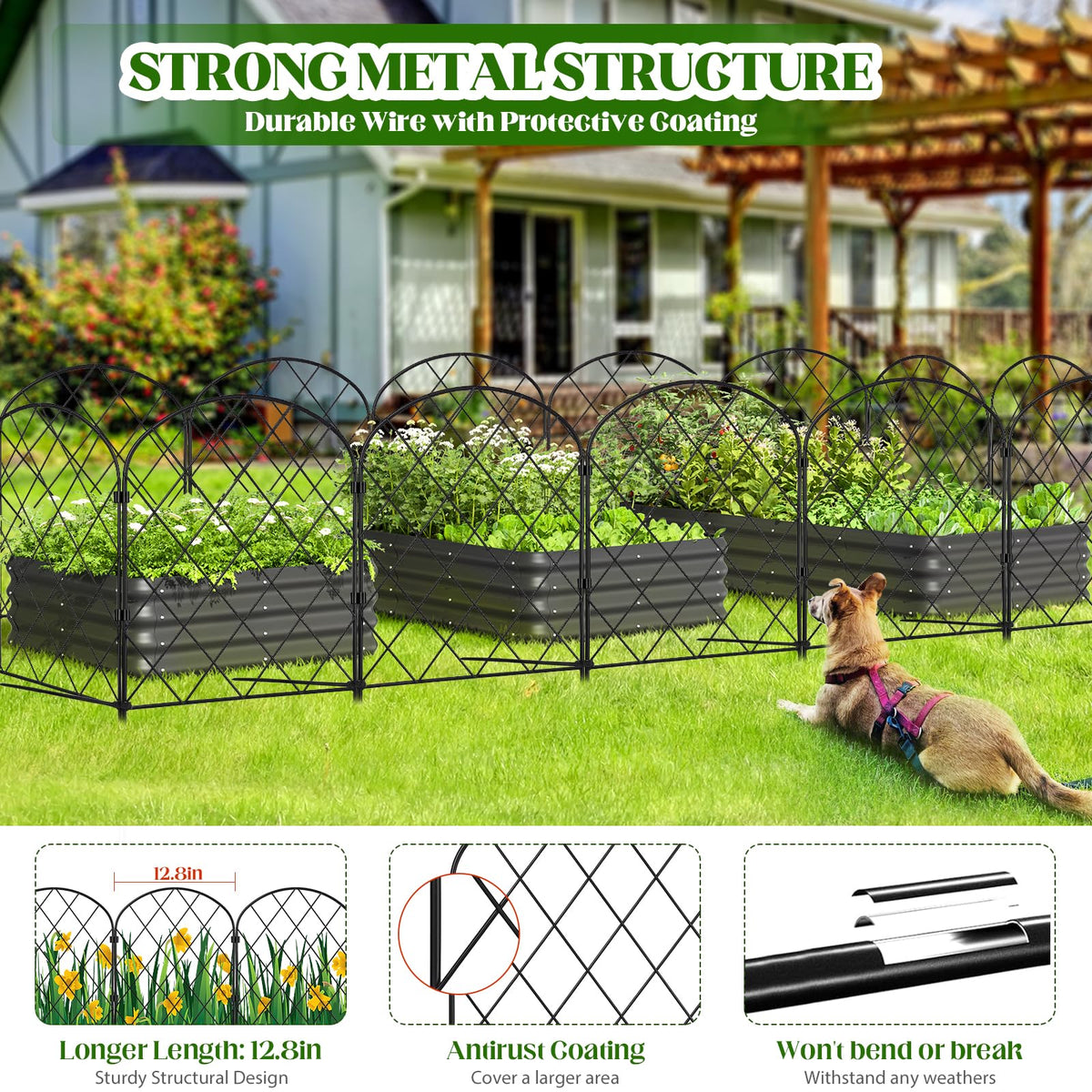 Cycayit flexible layout forms straight, curved, or enclosed borders.