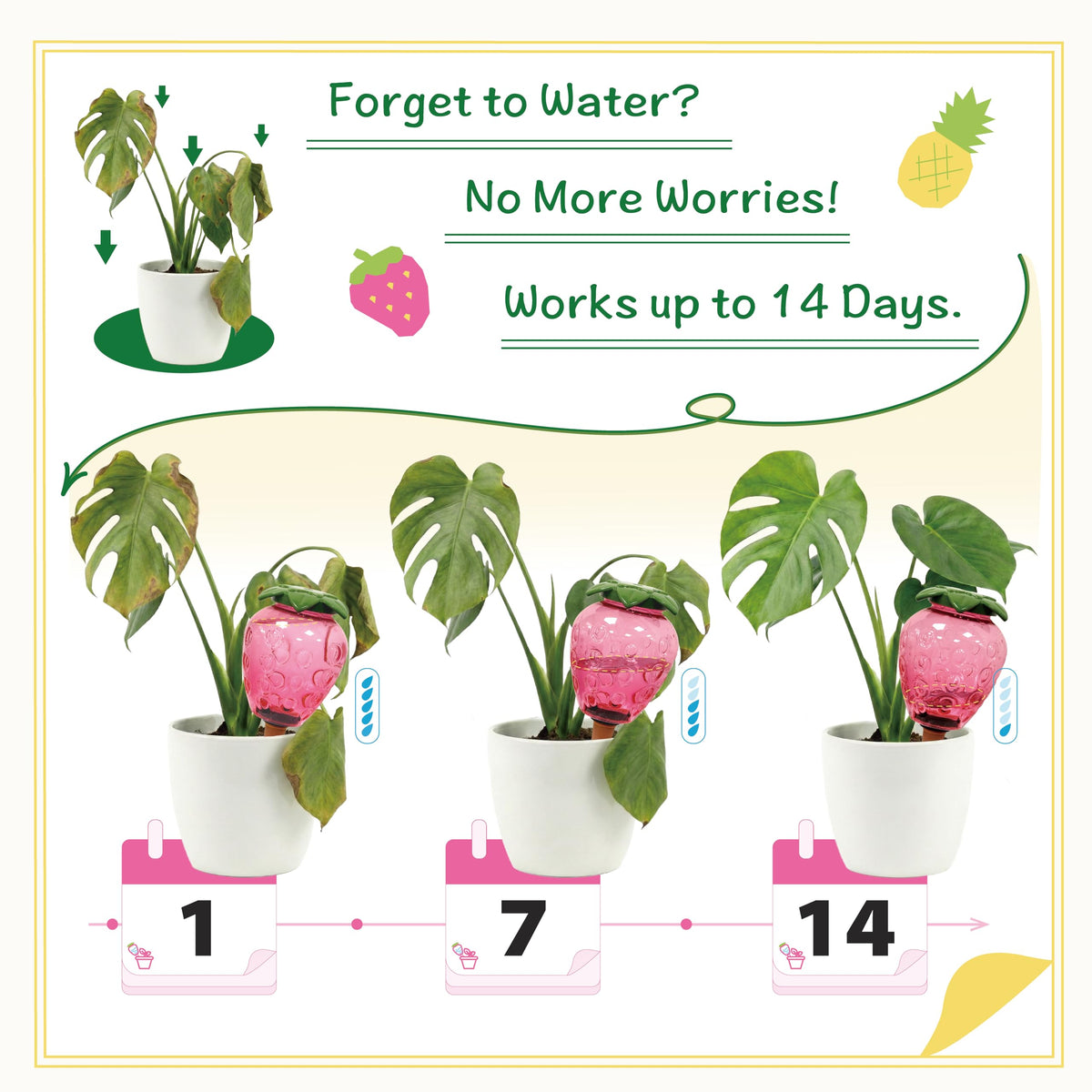 Cynevaris pineapple globe in planter for easy plant care