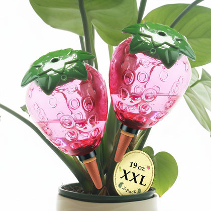 Cynevaris strawberry watering globe in soil delivers steady moisture for potted plants