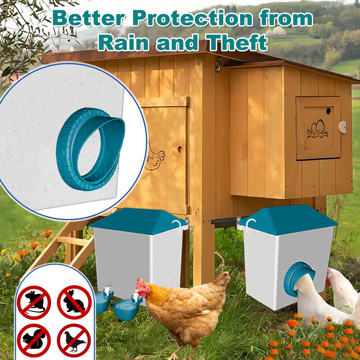 Cyrico coop mounting options offer versatile hanging or wall setup.