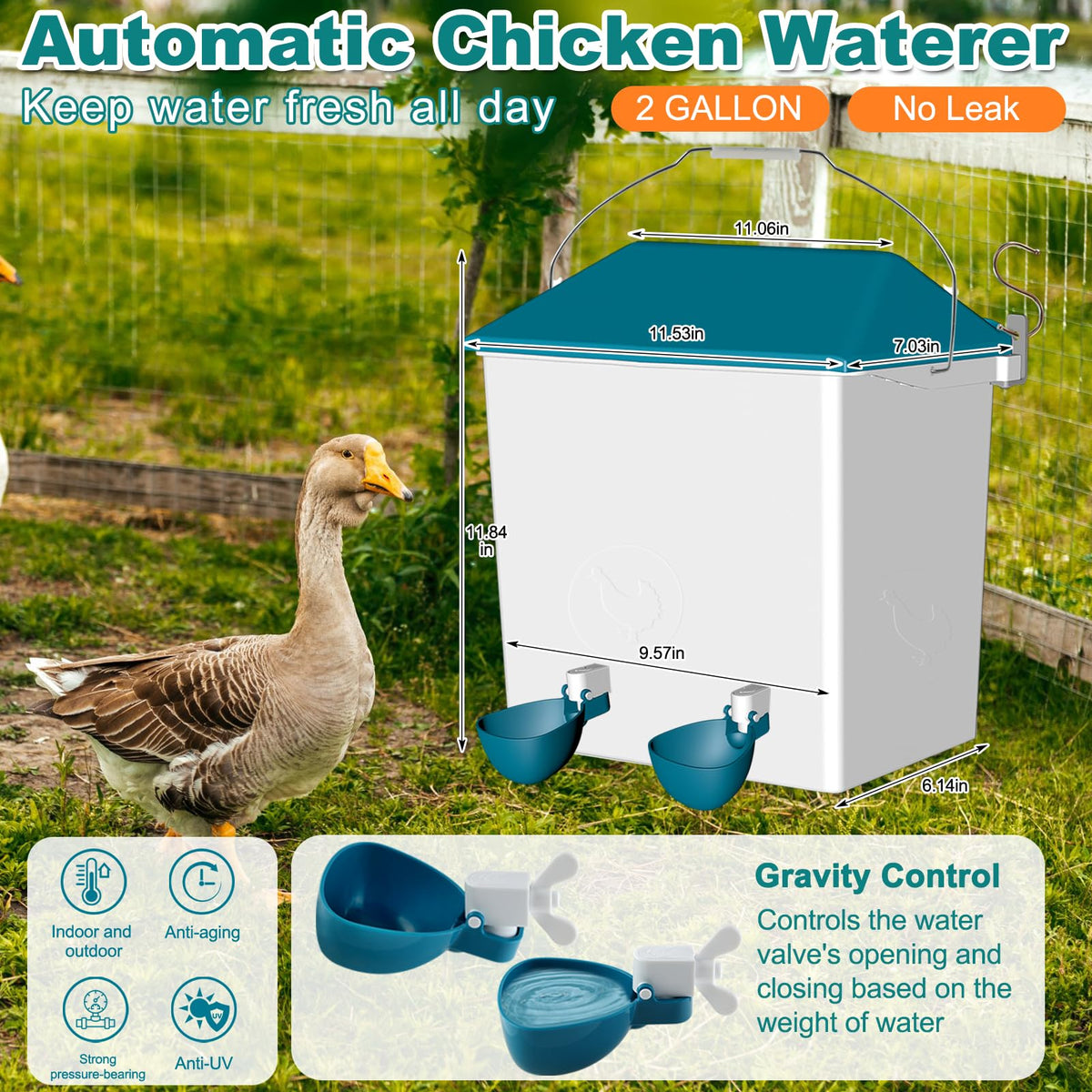Cyrico dual feeding ports facilitate access for multiple birds.