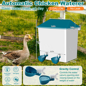 Cyrico dual feeding ports facilitate access for multiple birds.