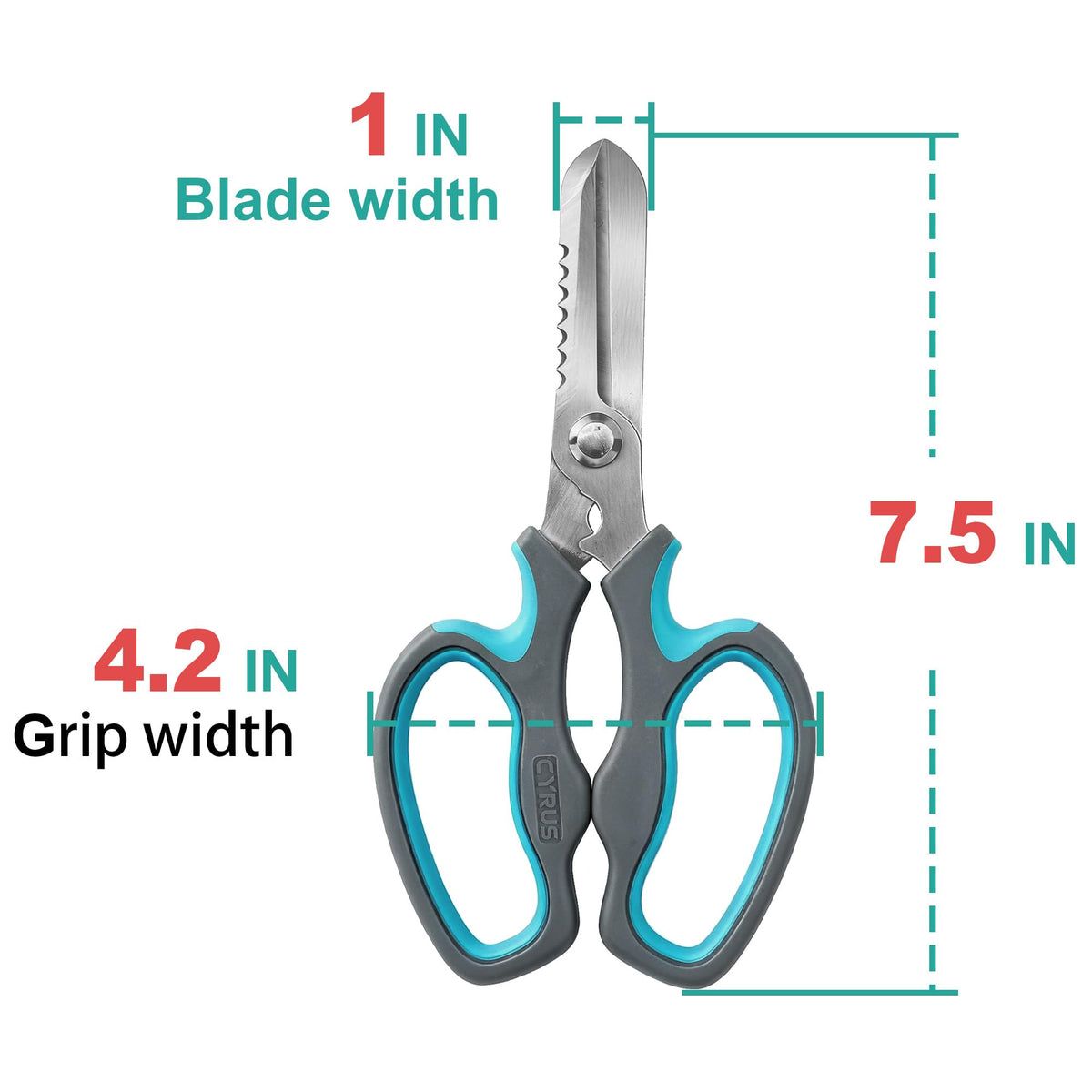 CYRUS floral scissors perfect for flower arrangement and indoor plants