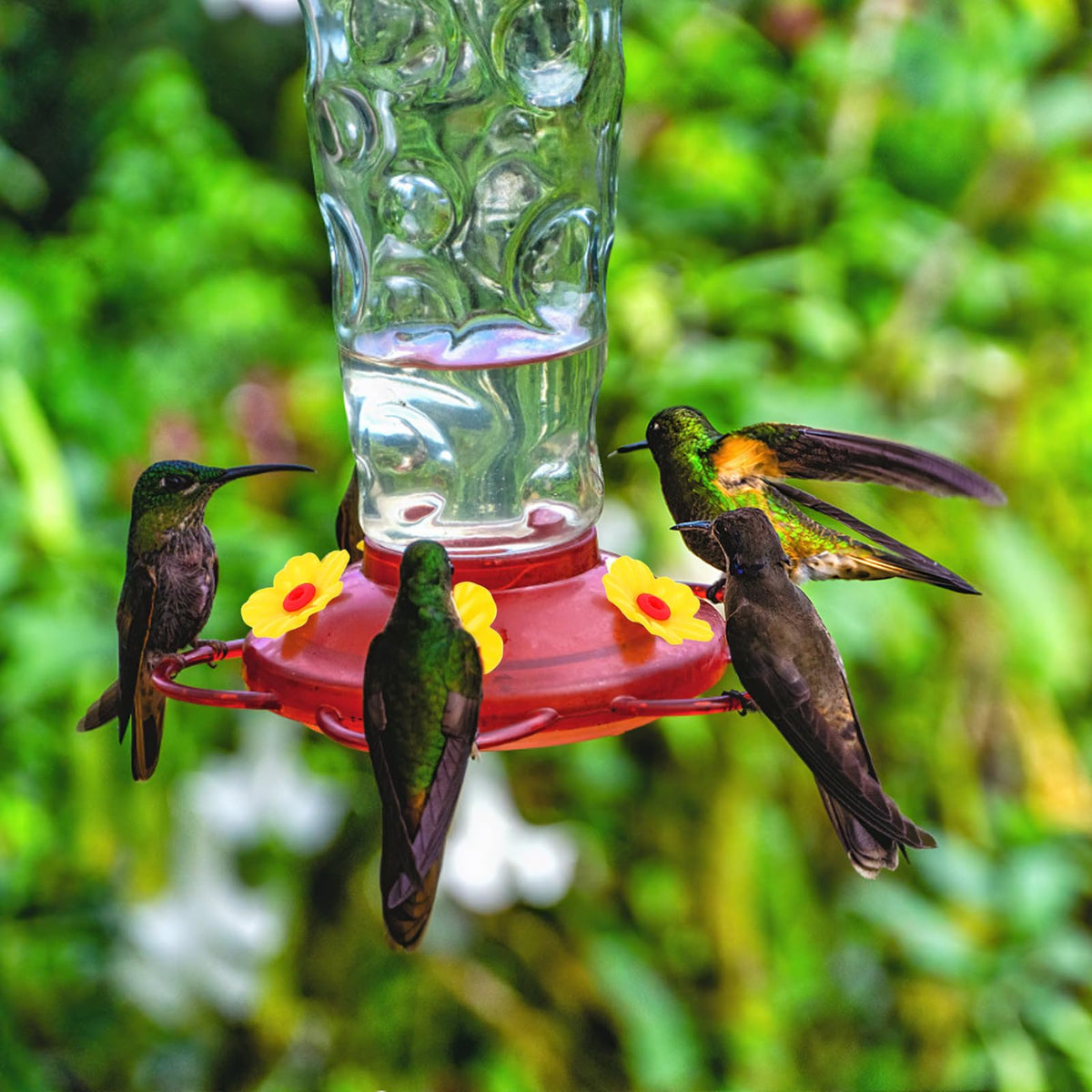 CYUXING two cleaning brushes for hummingbird feeder maintenance