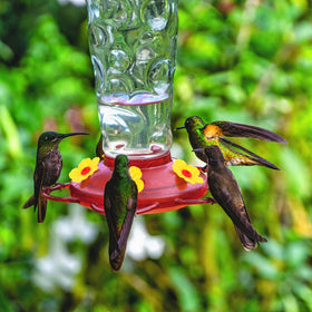 CYUXING two cleaning brushes for hummingbird feeder maintenance