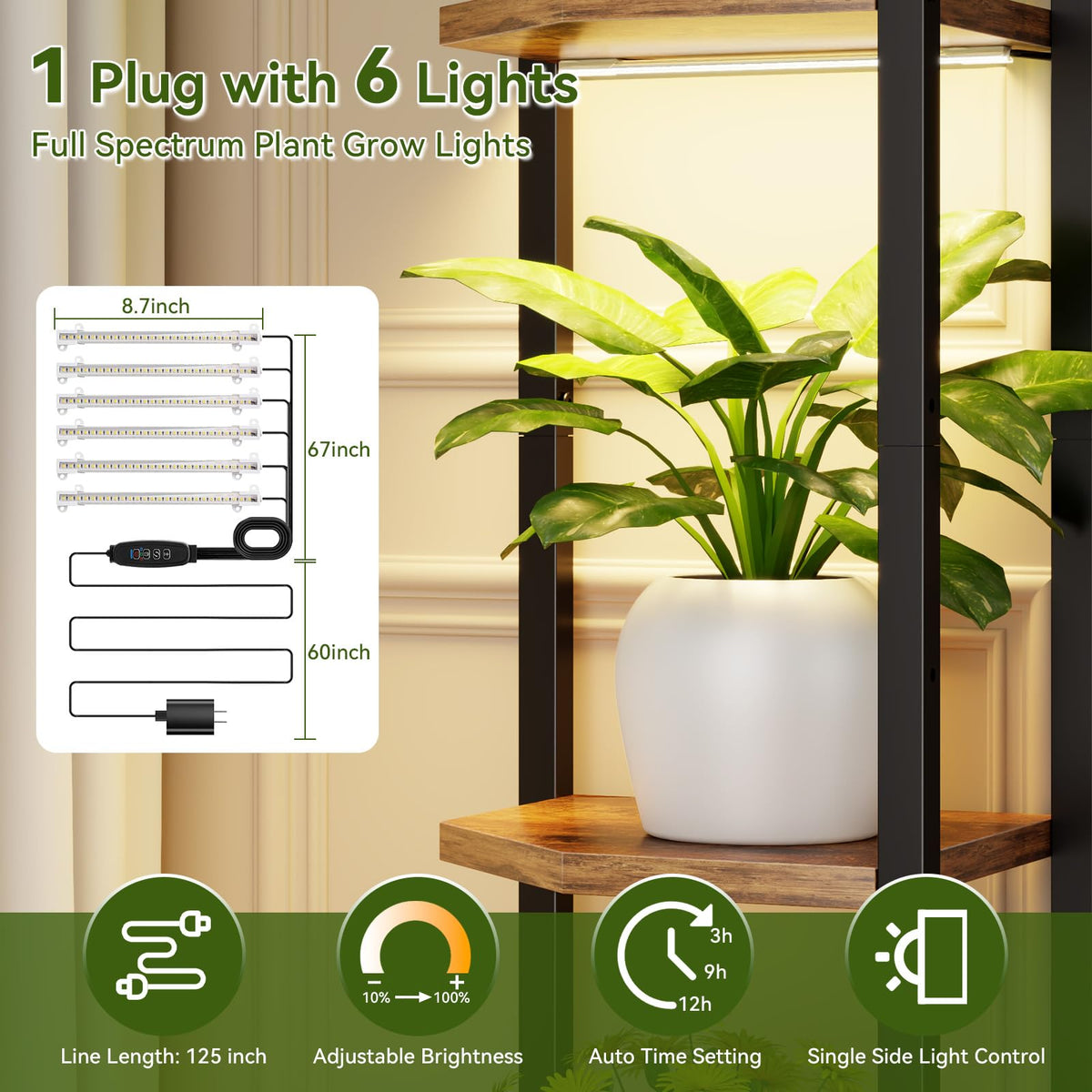 CYXPHION C1 55-inch height shelf elevates room decor and plant organization