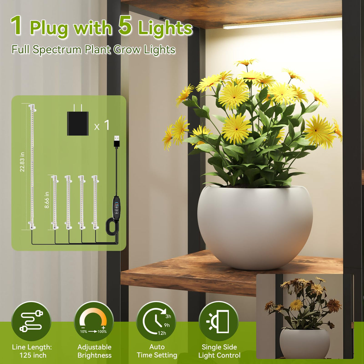 CYXPHION C2 9-tier tall stand displaying multiple plants neatly