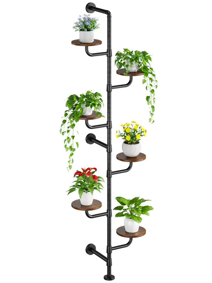 CYXPHION C5 six-tier plant stand for indoor display and vertical gardening.
