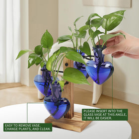 CYZglass C shaped hangers four piece set for flexible display
