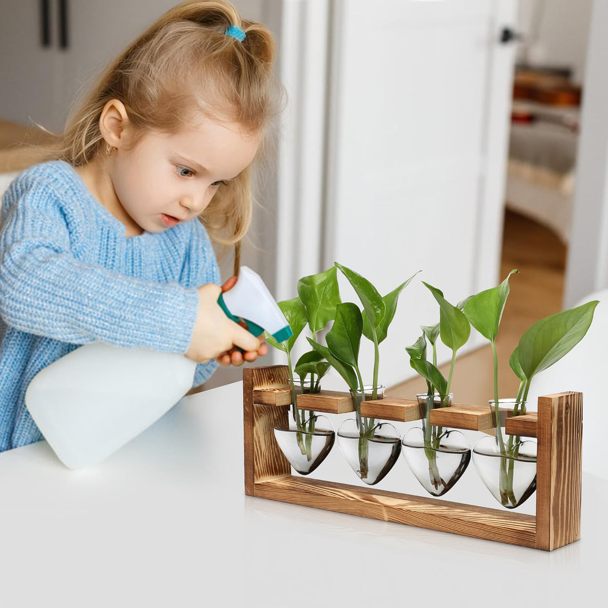 CYZglass glass bottles four-pack offers versatile propagation options and aesthetics.