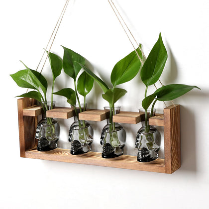 CYZglass Halloween skull propagation vase setup for desk growth observation
