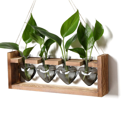 CYZglass heart propagation station on wooden stand enables clear growth observation.