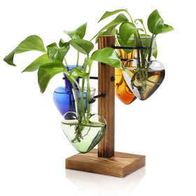 CYZglass plant propagation station with wooden stand for elegant home décor