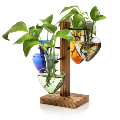 CYZglass plant propagation station with wooden stand for elegant home décor