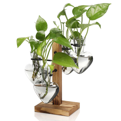 CYZglass plant terrarium colored glass bottle brightens indoor display