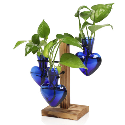 CYZglass plant terrarium on wooden stand for stylish indoor propagation