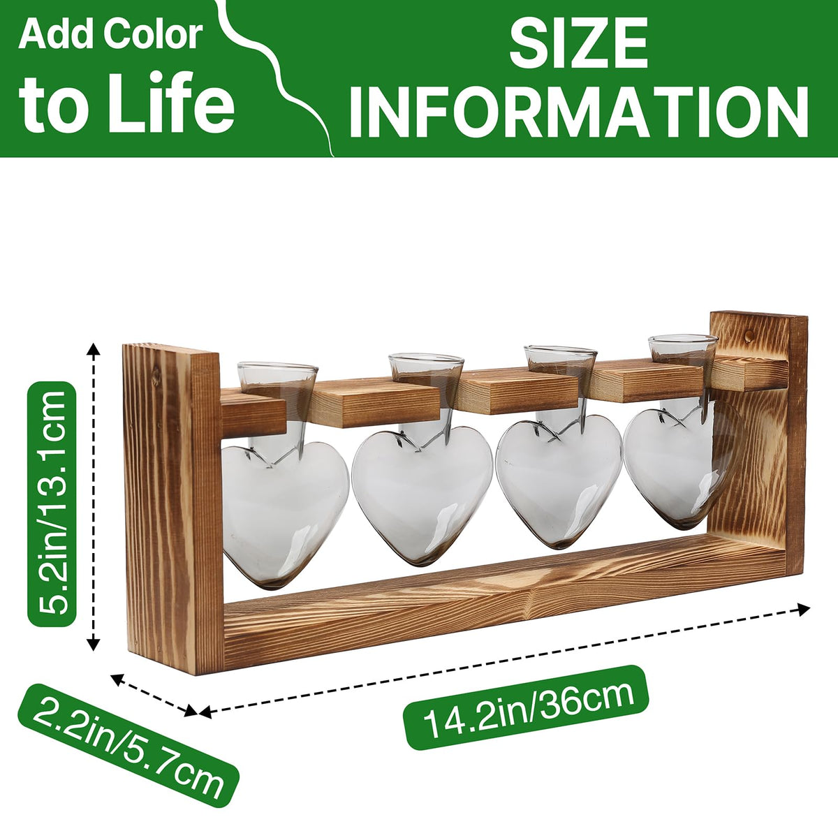 CYZglass terrarium kit gift packaging shows ready-to-display home decor.