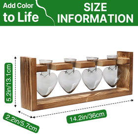 CYZglass terrarium kit gift packaging shows ready-to-display home decor.